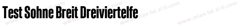 Test Sohne Breit Dreiviertelfett字体转换